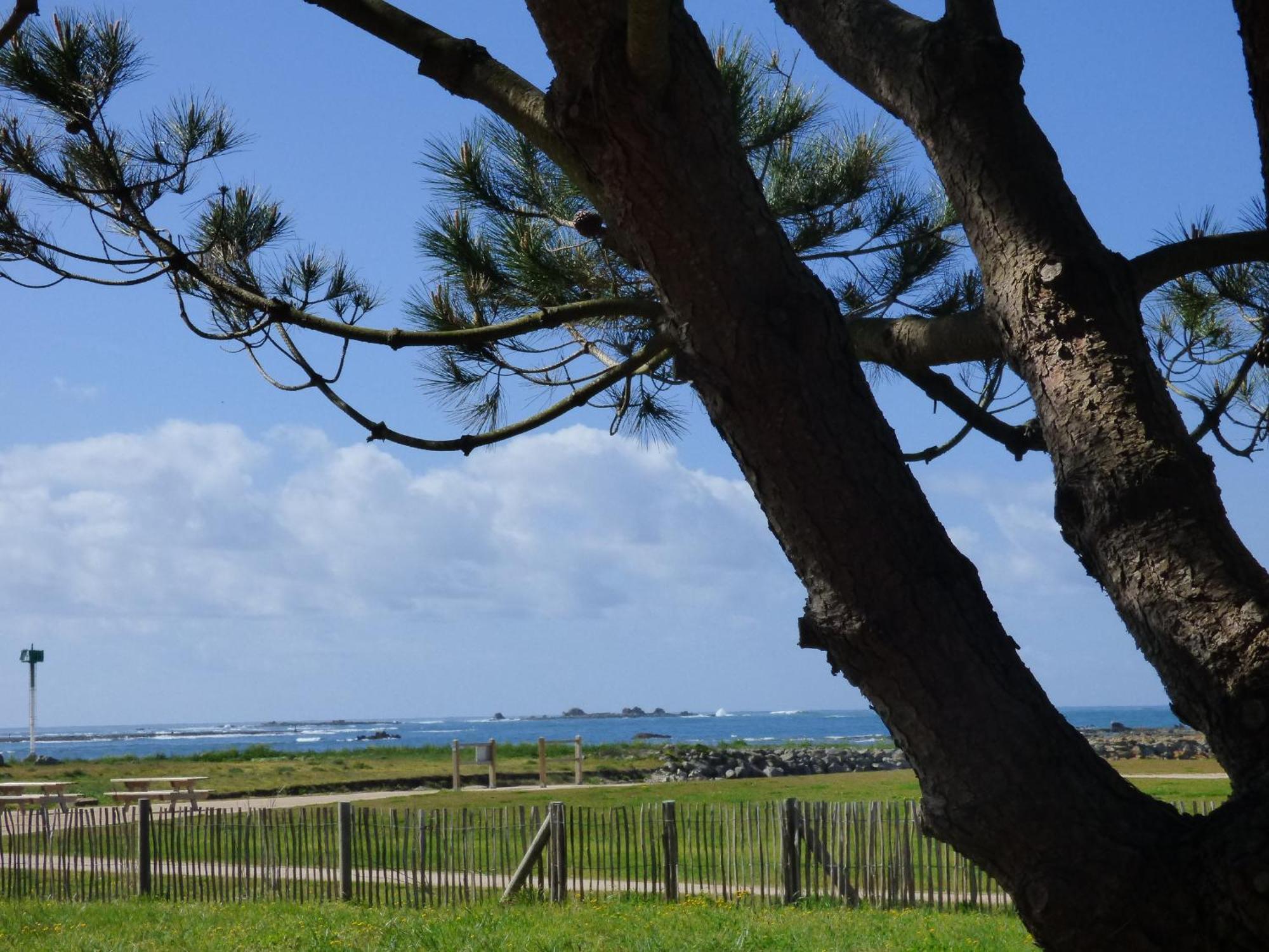 Appart-Studios Vue Mer Panoramique St Guenole Cote Mer Penmarcʼh الغرفة الصورة